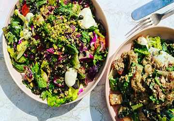 Top 7 Vegan Restaurants for Plant-Based Delights